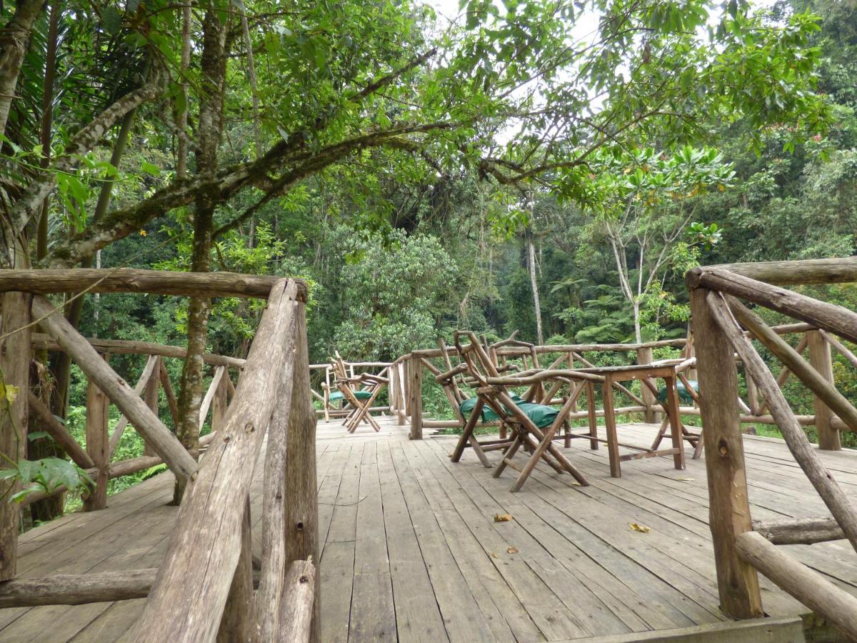 Отель Nshongi Camp Rubuguli Экстерьер фото